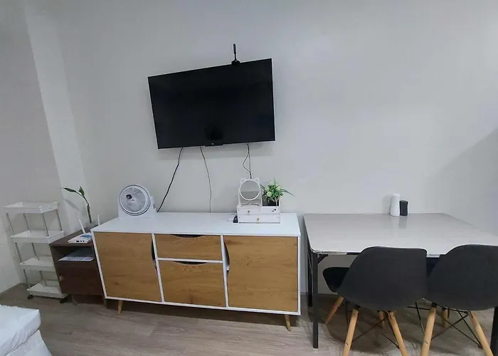 Apartment Fully Furnished-near It Park