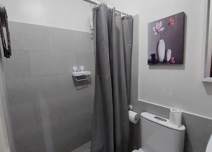 Apartment Fully Furnished-near It Park *