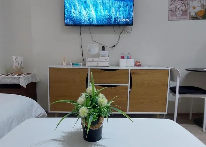Fully Furnished-near It Park Cebu